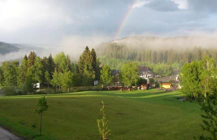 Schwarzwald-Chalet Feldberg - Foto 17