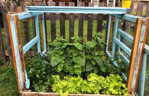 Magiczne Podlasie - Foto 31