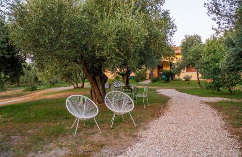 Armandiola - Foto 21