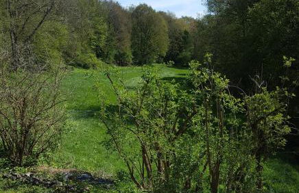 Ferienwohnung in der Stegwiese - Foto 12