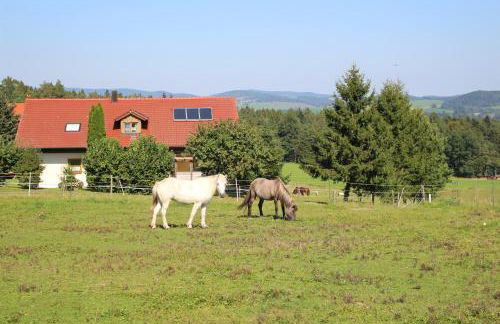 Ponyhof Adam Urlaub auf dem Bauernhof - Foto 28