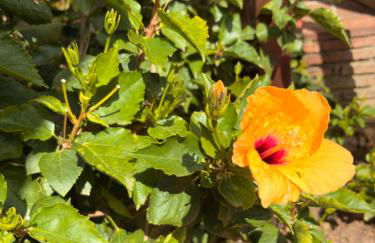 Riviera Del Sol Apartment - Photo 23