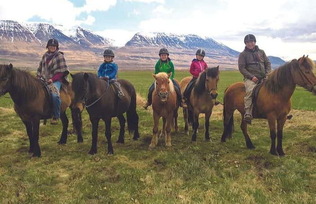 Varmahlíð Horse Riding Activity - Photo 2