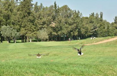 LA SELLA PREMIUM lifestyle Apartments - Foto 23