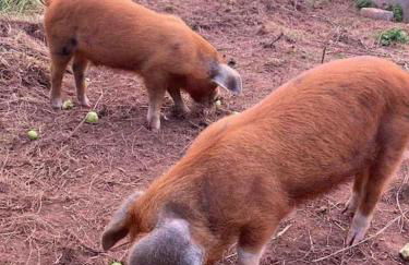 Light & Airy Vaulted Barn Conversion with a View - Photo 29