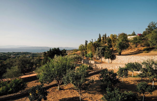 Terra Cassa Private Villa - Photo 64