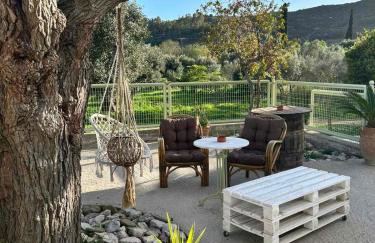 Ktimaoliva1 - Foto 51