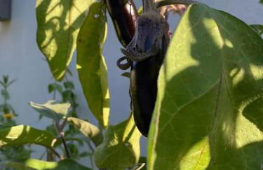 L'échappée créative - Foto 25