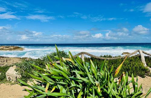 Apartments Campanitx - Astbury Formentera - Photo 11