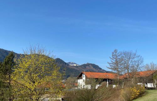 Best Butler Family & Friends mit Hund - Foto 25