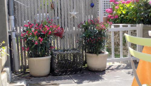 Les Flots Bleus - Foto 3