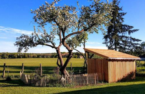 Ferienwohnung Alte Schule Chorin Schorfheide - Foto 6
