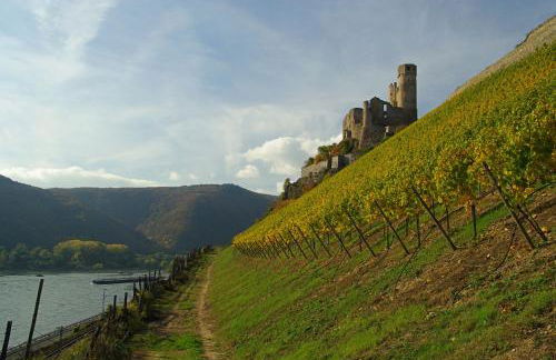 Residence Bellevue - Foto 27