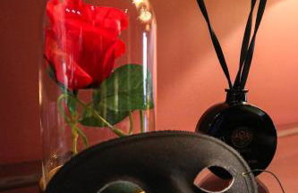 LE MOULIN DES PLAISIRS atypical SM experience - Foto 52