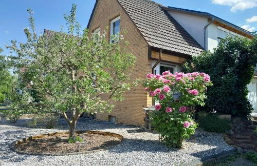 Limburgstube - Foto 9