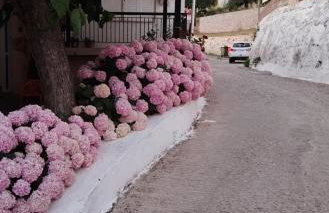 Σπίτι στο χωριό - Foto 27