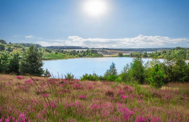 Chalet With air Conditioning on a Holiday Park - Foto 20