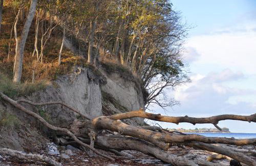 Katharinenhof "Sunny" - Foto 28