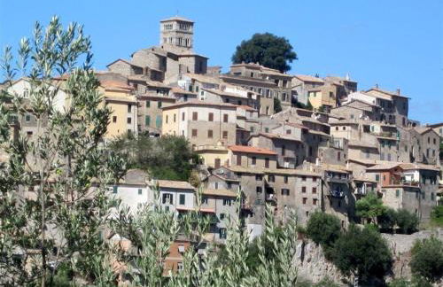 Holiday Villa in Sabina with Private Pool - Foto 65