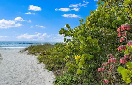 San Remo 304 - Foto 36