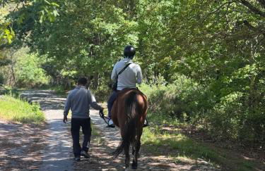 Casa do Esquilo - Foto 27