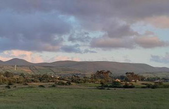 Oaktree Manor - BBQ, games rooms and pet friendly - Photo 42