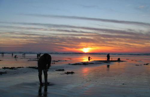 Beach Get Away Fabulous Vintage Trailer - Foto 29