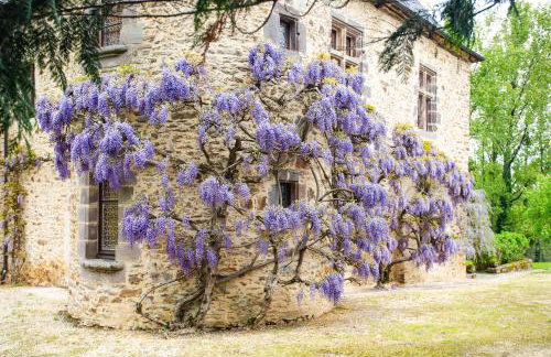 Chateau Eyparsac - Photo 18