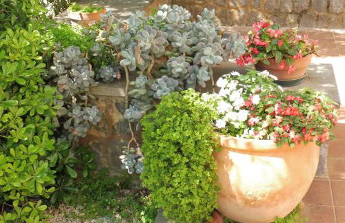 Residence Santa Maria Suites - Foto 44