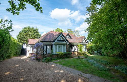 Pinewood Cottage Self Catering Apartments and studio apartments - Photo 1