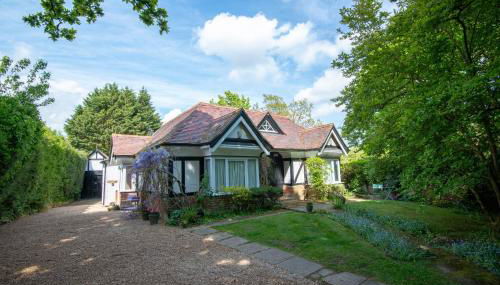 Pinewood Cottage Self Catering Apartments and studio apartments - Photo 1, Garden