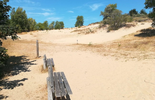 Penthouse in Seafront With Stunning Sea View - Photo 23