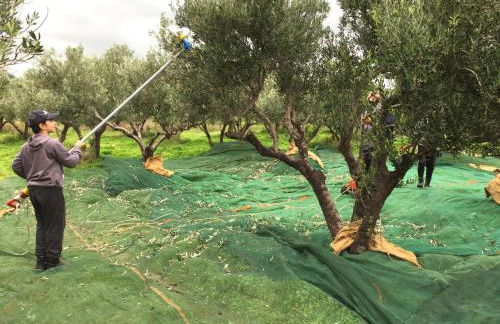 Eleni Apartments - Photo 66