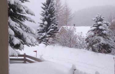 Bas de chalet station La Foux - Foto 28