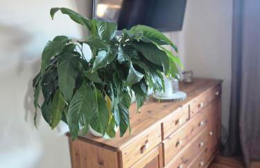 Nordlandquartier - Foto 11