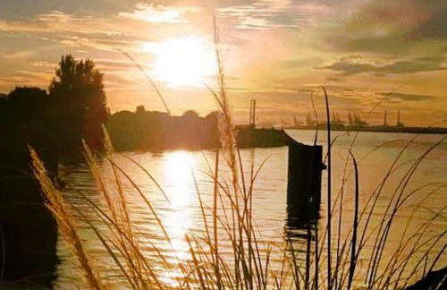 Ferienhaus Lille Huus in Hinte bei Emden - Foto 25