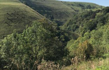 River View - Photo 30