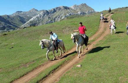 Apartamentos Andrea - Foto 18