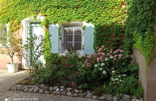 La Rose des Claux - Foto 7