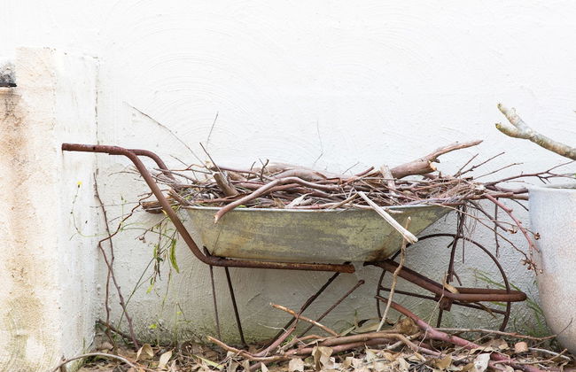 Artist Retreat - Foto 22