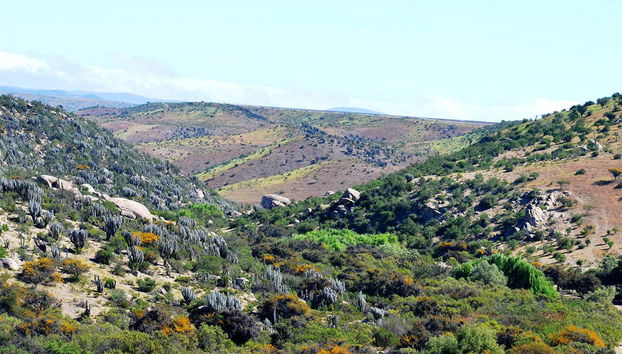 Los contrastes del paisaje del Valle del Encanto