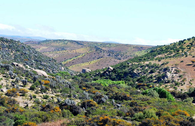 Valle del Encanto Tour - Photo 3