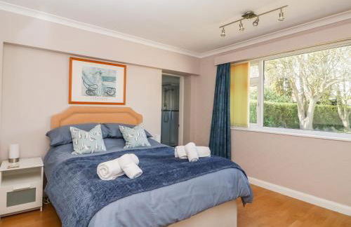 The Hemploe - Foto 19