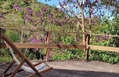 Vale das Quaresmeiras - Foto 58