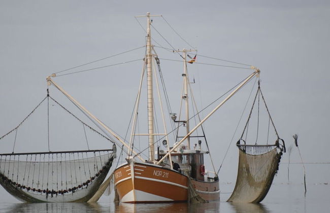 Dunenhuus Ost Modern Retreat - Foto 19