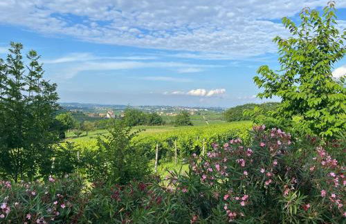 Vigne dei Mastri - Foto 7