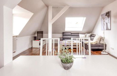 Ferienwohnungen Ziesing - Foto 49