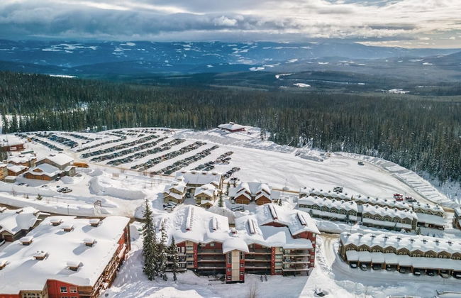 Raven's Nest - Luxury Pet Friendly Condo w/ Private Hot Tub & Mountain Views - Foto 29