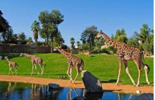 Piso Lorena Playa 1min walk - Foto 56