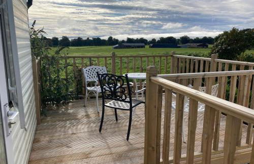 Clashmore Wood - Foto 27